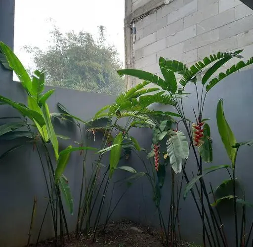 Imah Safina, Cozy Private Home Syariah In Padalarang Bandung